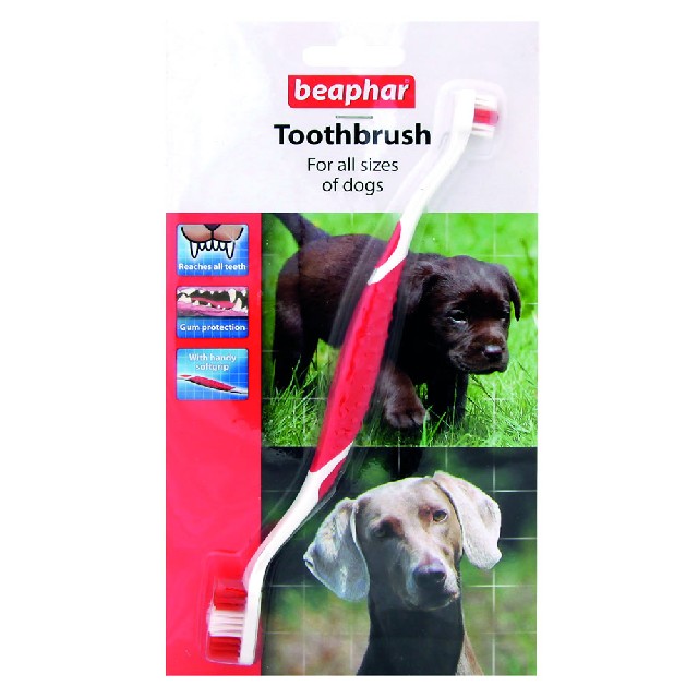 Beaphar Toothbrush